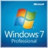 windows-7-professional-logo